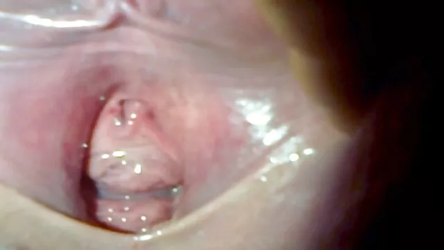 Nuera prefiere polla videos porno hd en español negra