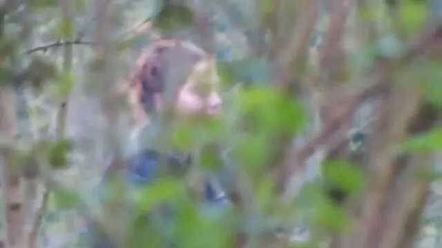 La esposa trajo a su amiga a casa y le pidió a su esposo ver porno subtitulado que lamiera sus coños