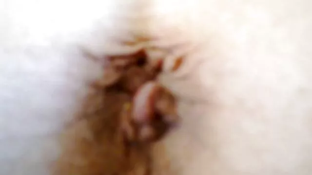 Nena delicada Chloe Couture folla los mejores videos xxx en español apasionadamente con un chico lindo