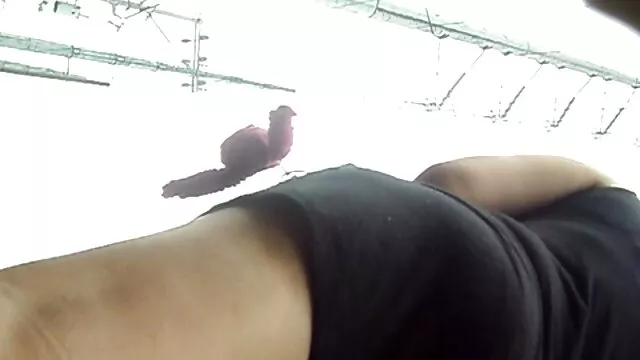 Marido trajo a casa a un amigo videos gay en español gratis y juntos se la follaron